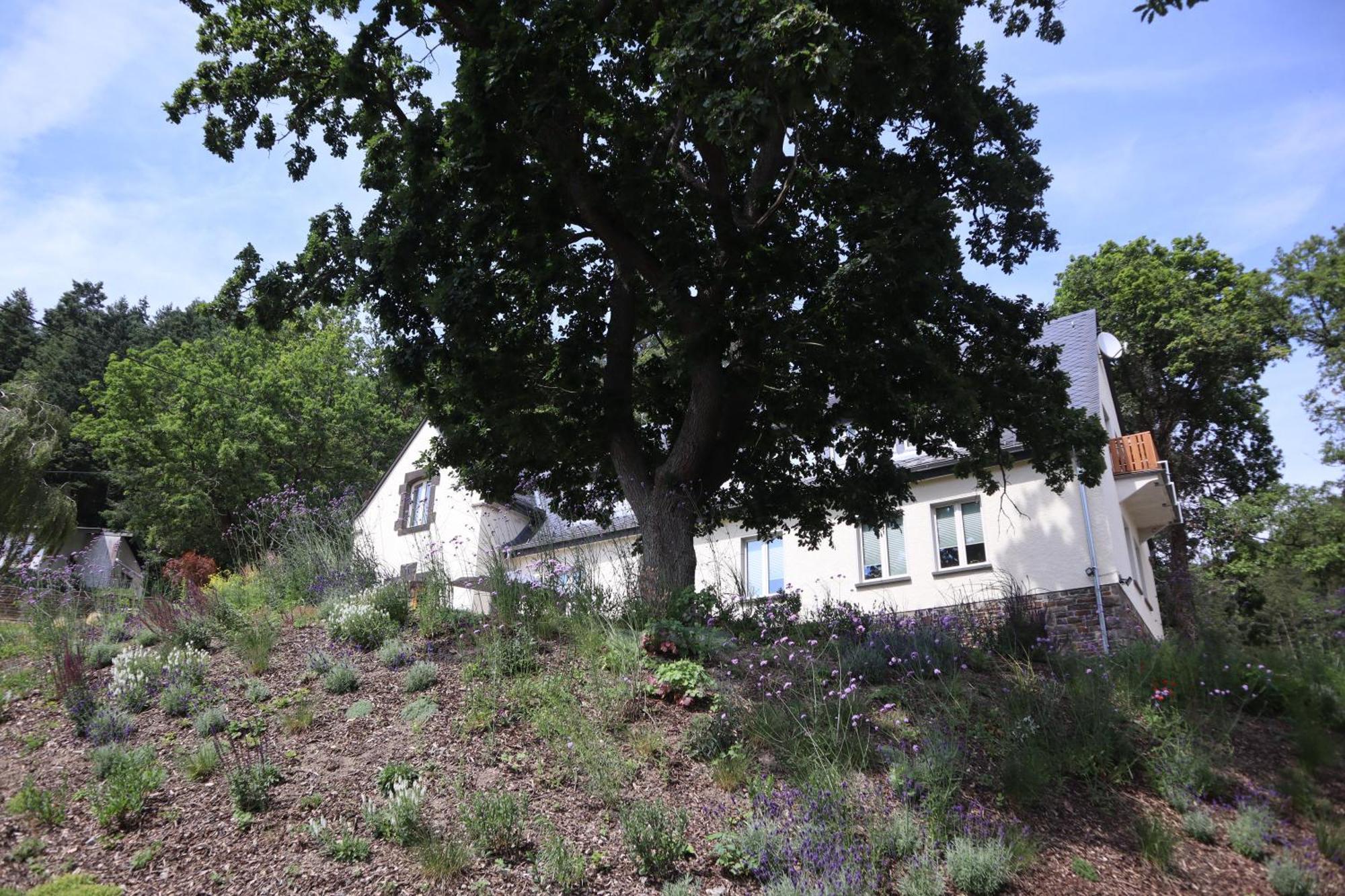 מלון אדנאו Residenz Kirchberg מראה חיצוני תמונה
